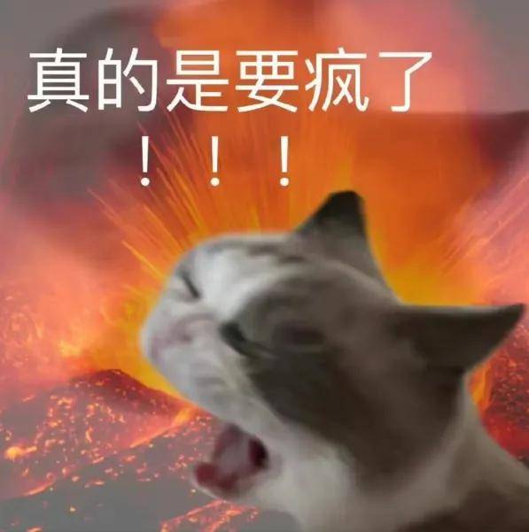 暫(zàn)停视频广告放大逼疯网友！明明想(xiǎng)看细节视频网站(zhàn)卻(què)只想(xiǎng)赚钱……